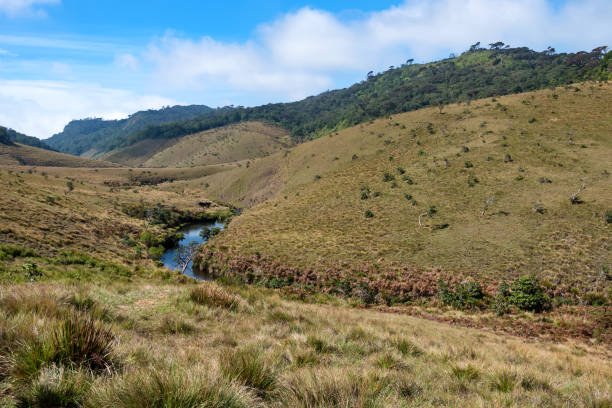 Horton Plains National Park